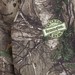 Early_Hunting_Camo_4